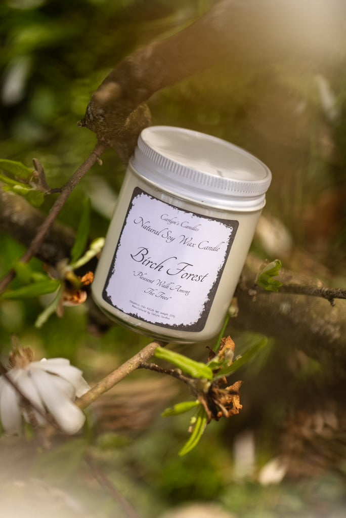 Birch Forest (Limited Time)