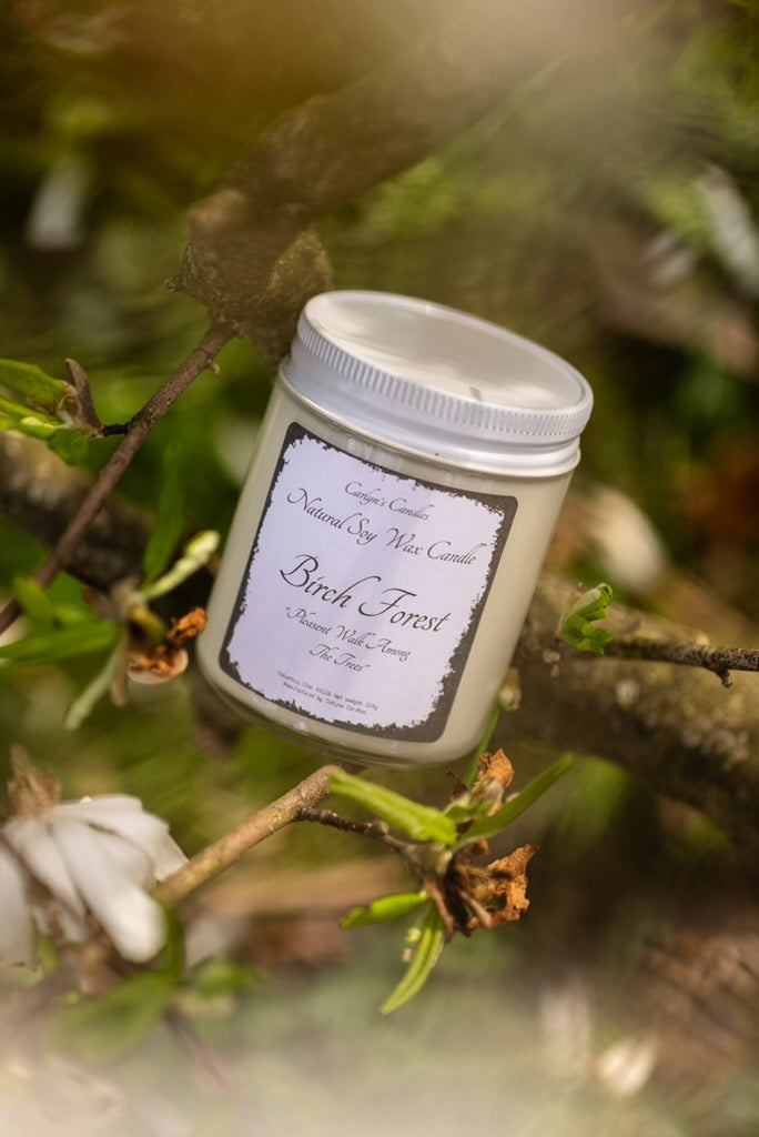 Birch Forest (Limited Time)
