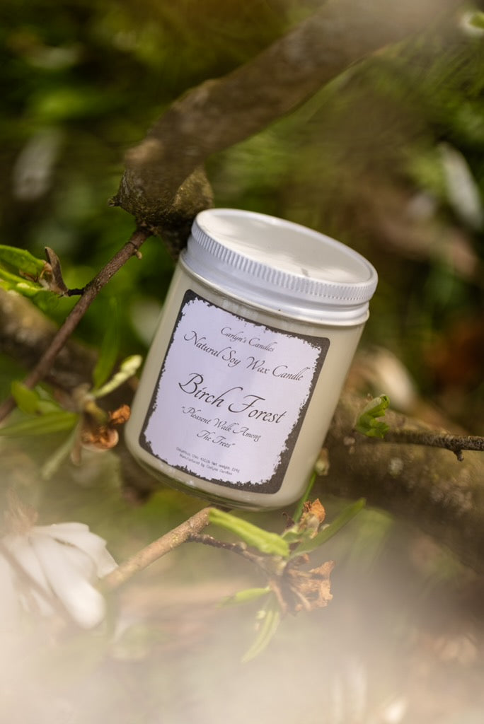 Birch Forest (Limited Time)